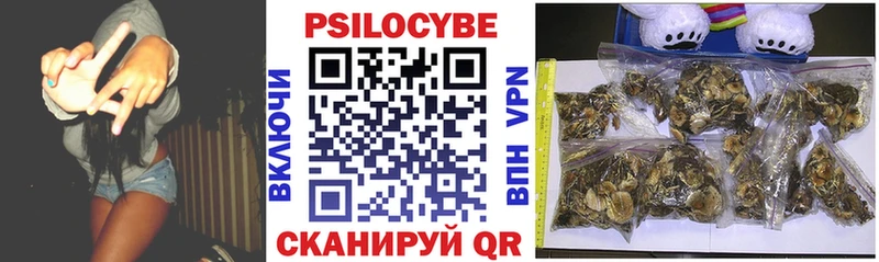 Псилоцибиновые грибы мицелий  Магадан 